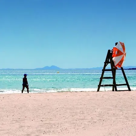 Homely Paseo Del Mar * Torrevieja