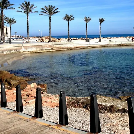 Homely Paseo Del Mar Torrevieja